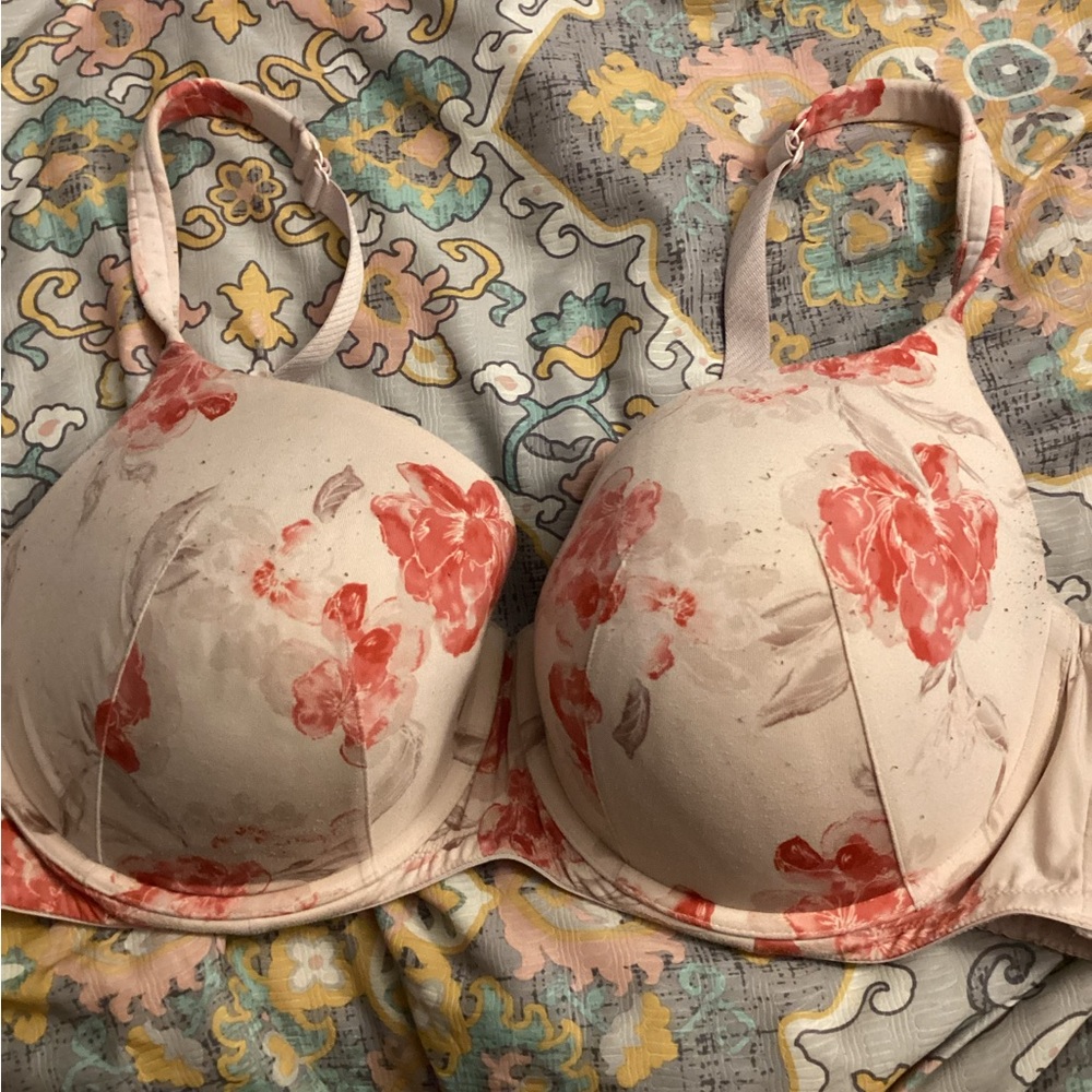Cacique Coral Floral T-Shirt Bra on Cream